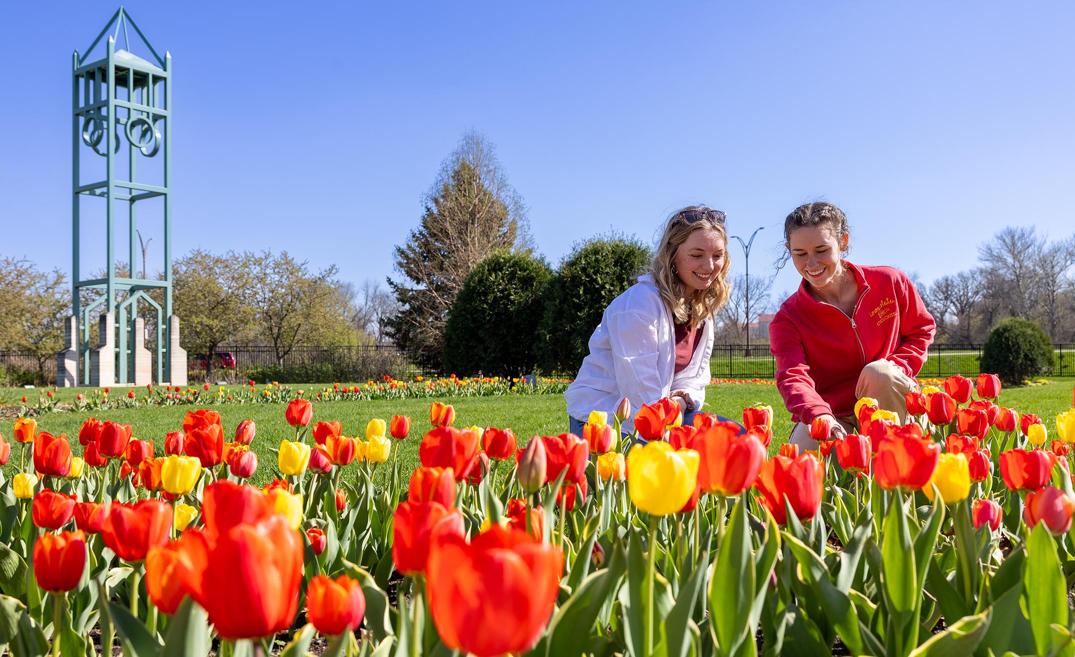 Two students crouching to get a closer look at a bed of tulips in Reiman Gardens.