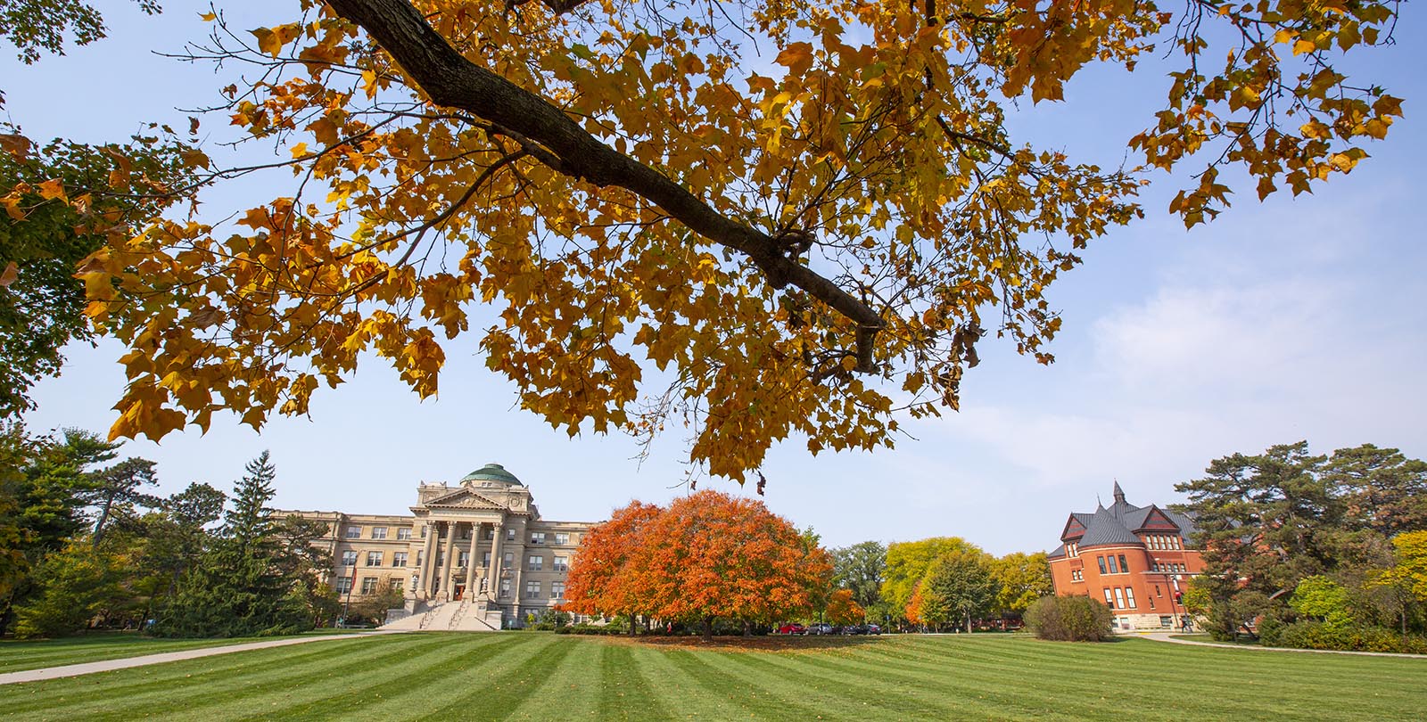 Fall view of Beardshear and Morrill Halls from central campus