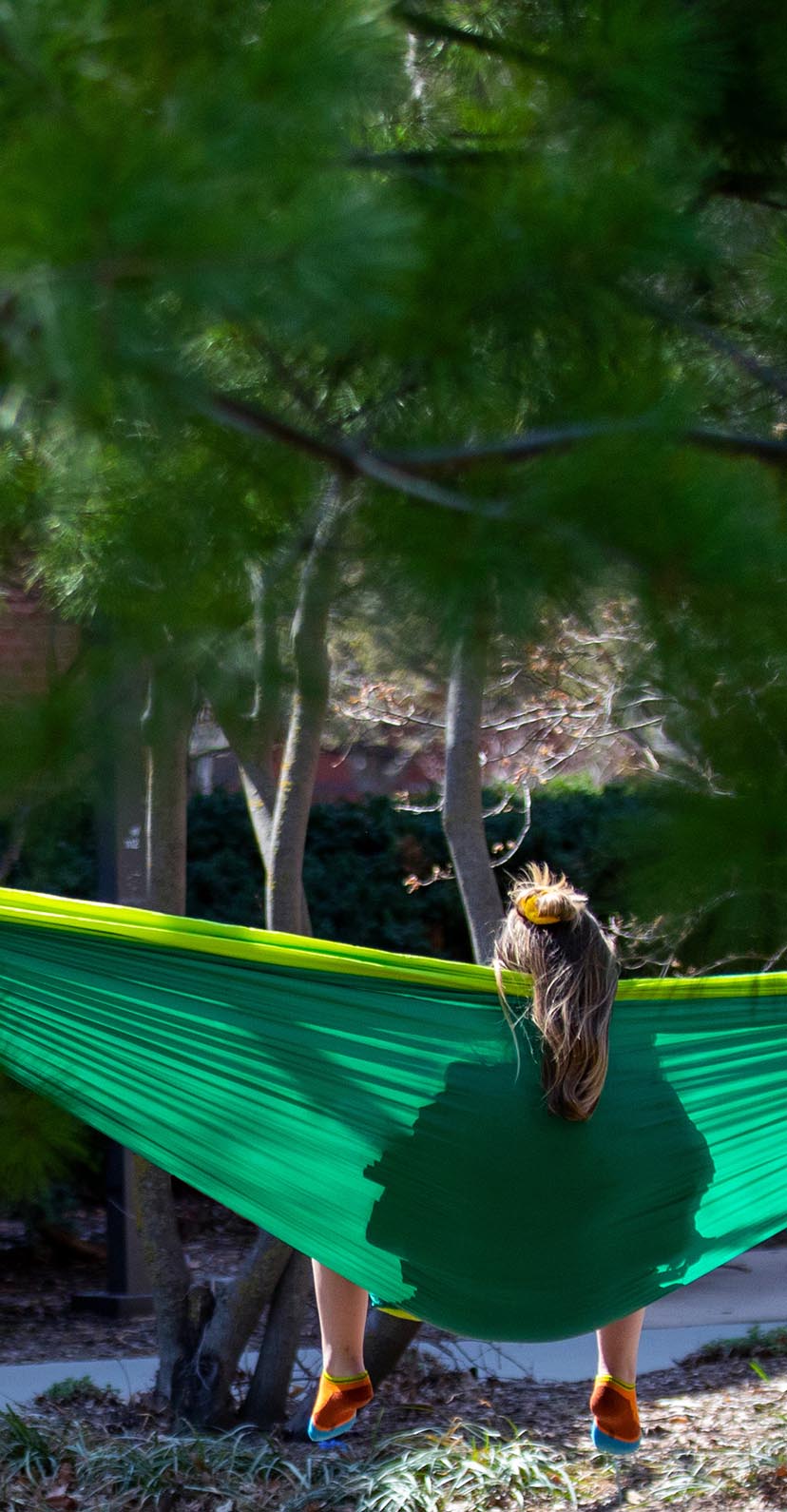 A student hammocking on a sunny day.