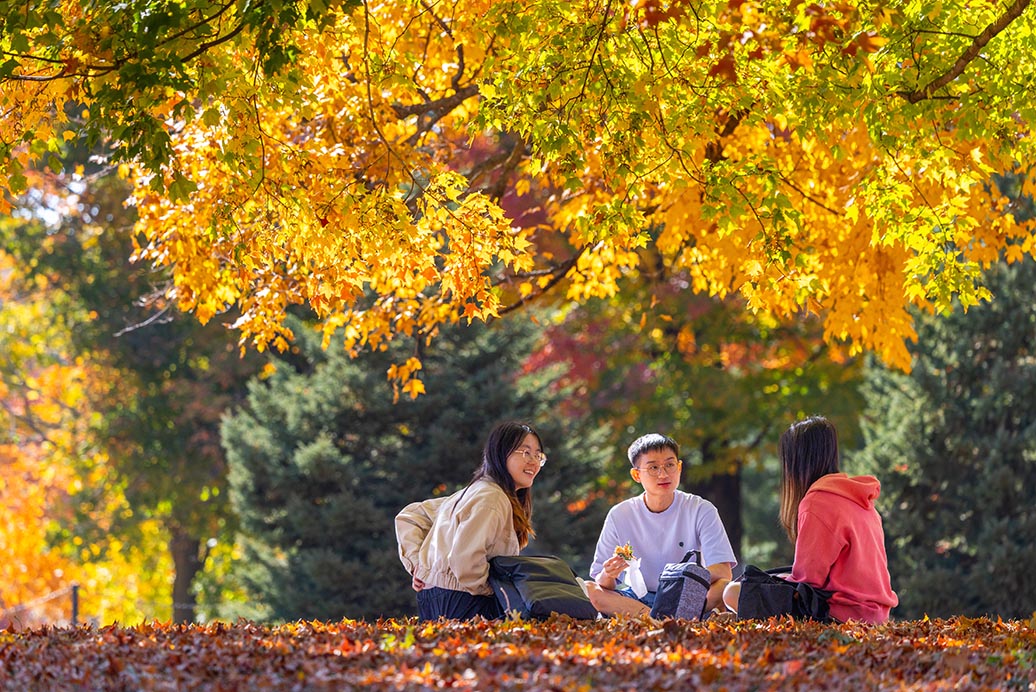 Three students sitting under trees with fall colors.